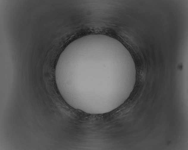 X0000089660865200707191646