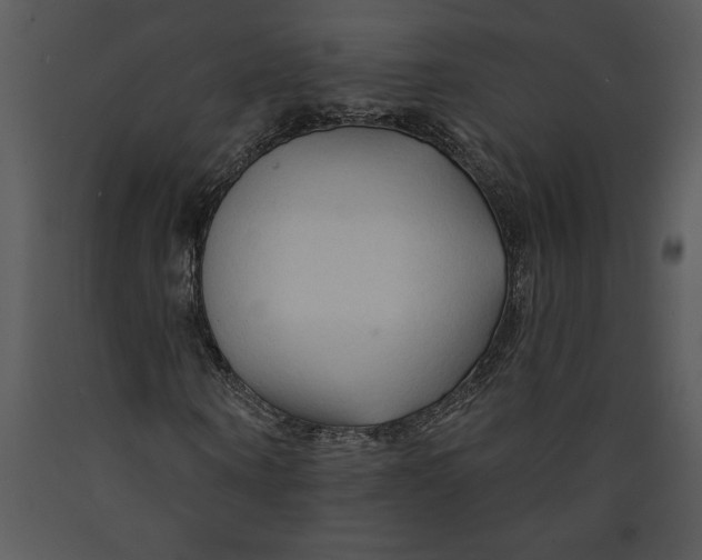 X0000089660866200707191646