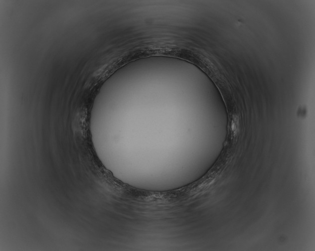 X0000089660867200707191646