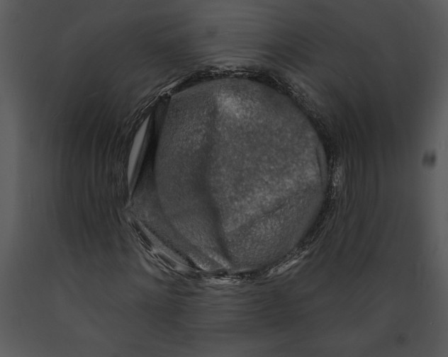 X0000089660868200707191646