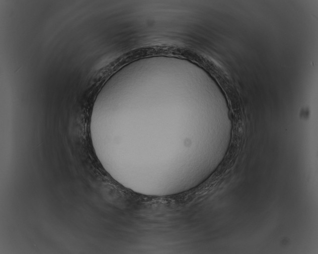 X0000089660869200707191646