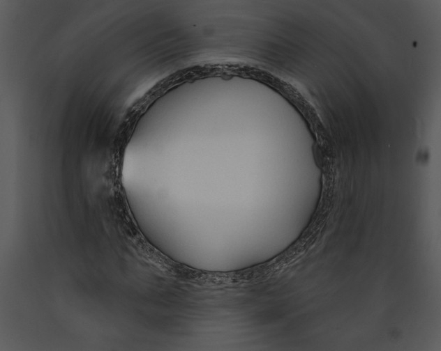 X0000089660871200707191646
