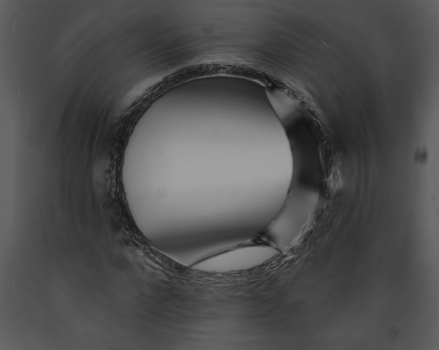 X0000089660872200707191646