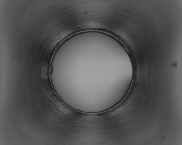 X0000089660873200707191646