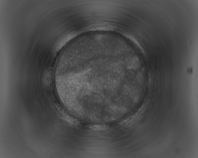 X0000089660874200707191646
