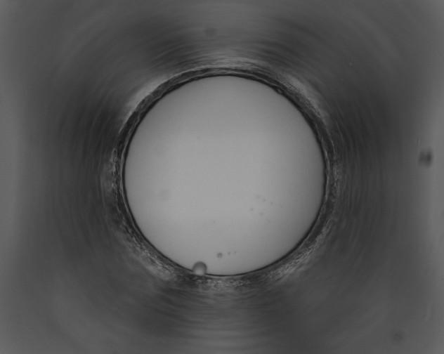 X0000089660875200707191646