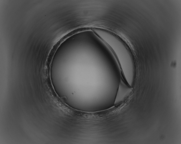 X0000089660876200707191646