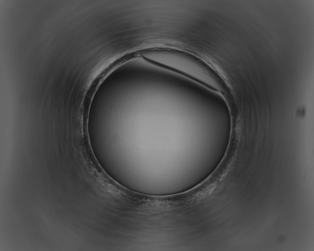 X0000089660877200707191646