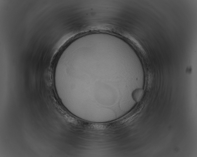 X0000089660878200707191646