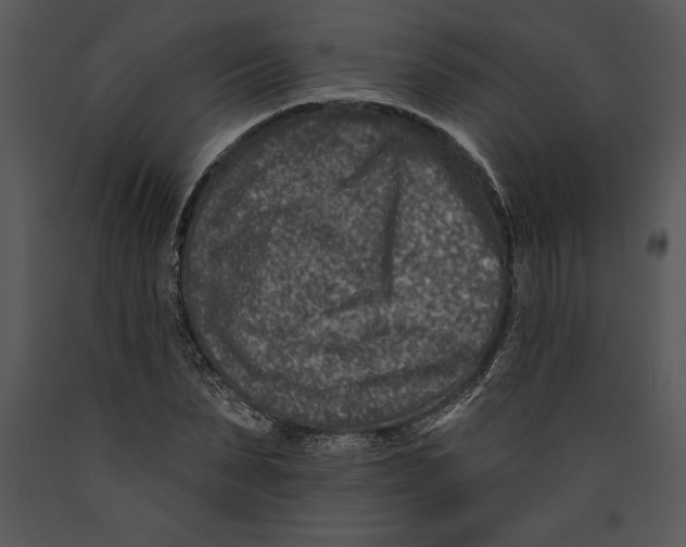 X0000089660879200707191646