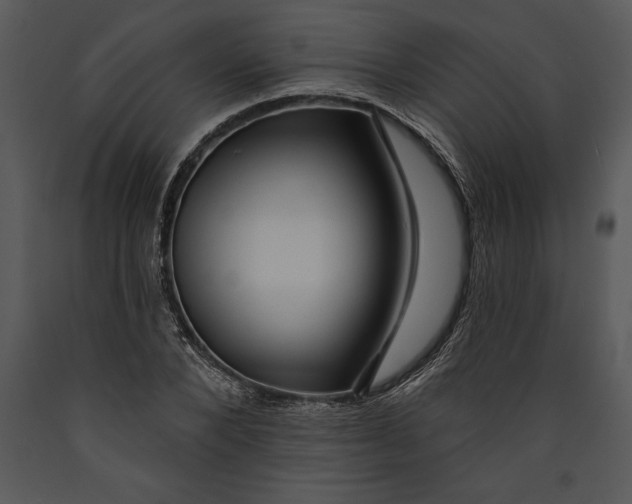 X0000089660880200707191646