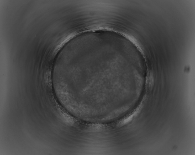 X0000089660881200707191646