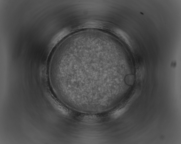 X0000089660882200707191646