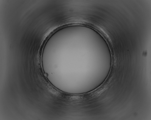 X0000089660883200707191646