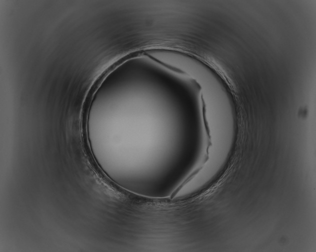 X0000089660884200707191646