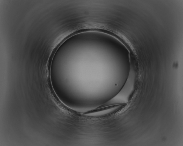 X0000089660885200707191646