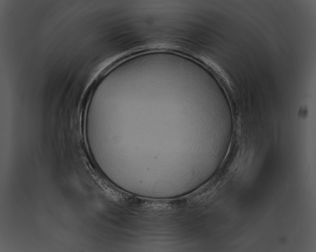 X0000089660886200707191646