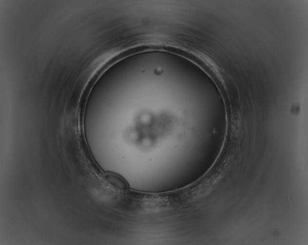 X0000089660887200707191646