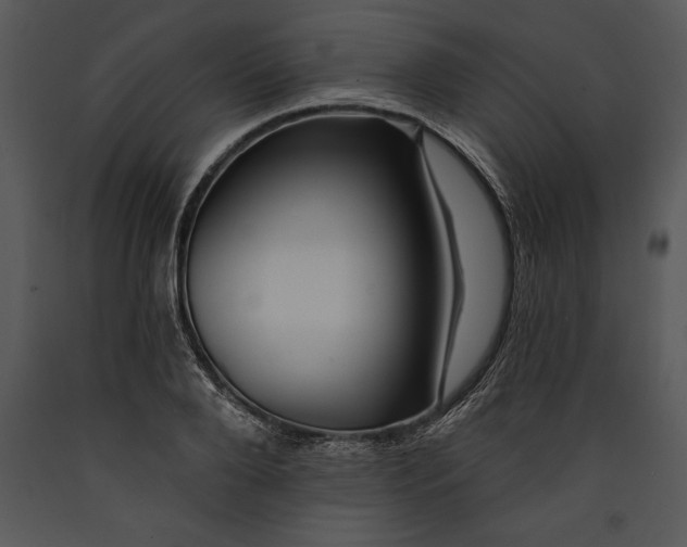 X0000089660888200707191646