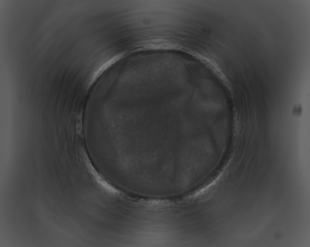 X0000089660889200707191646