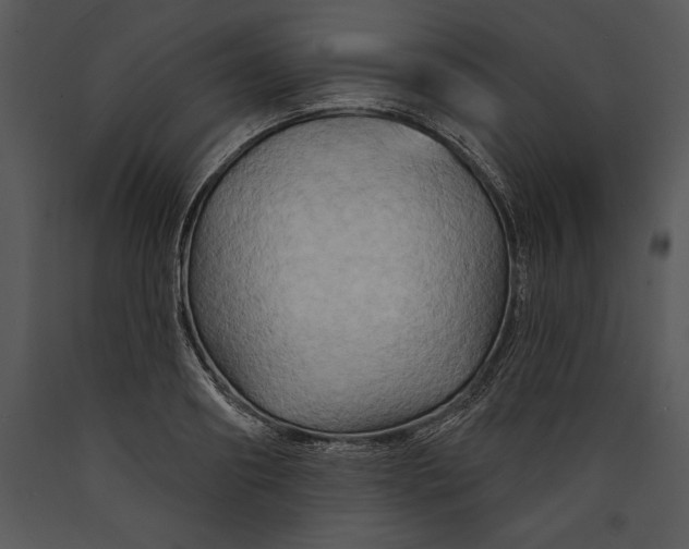 X0000089660890200707191646