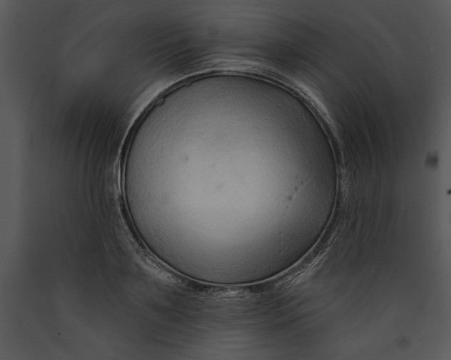 X0000089660891200707191646