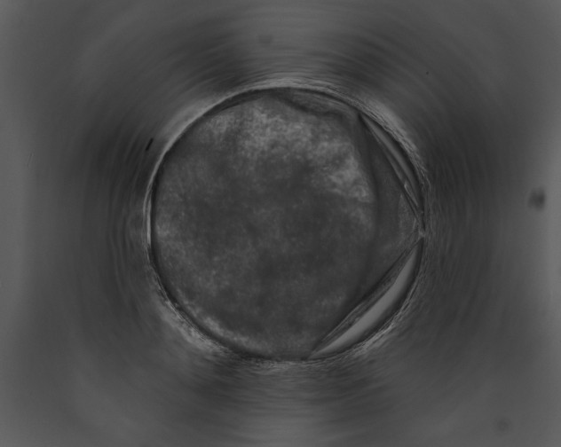 X0000089660892200707191646