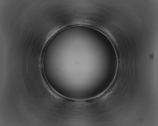 X0000089660893200707191646