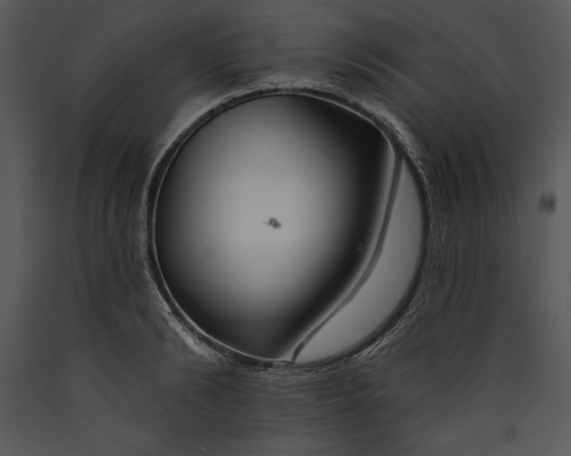 X0000089660894200707191646