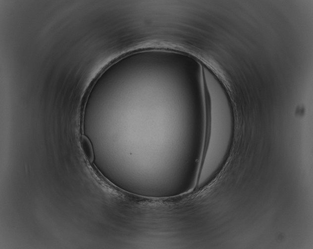 X0000089660896200707191646