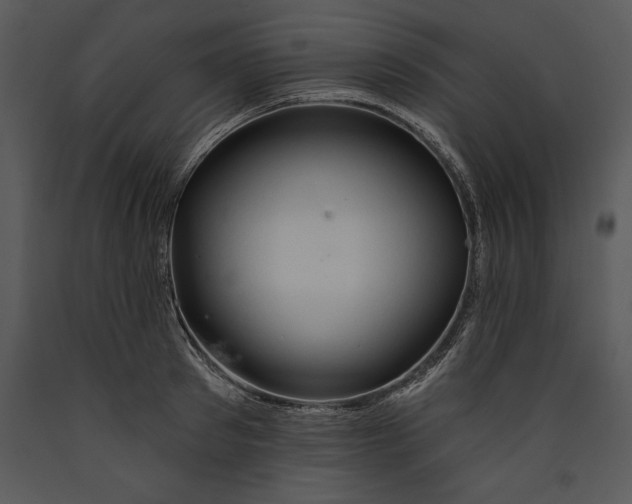 X0000089660897200707191646