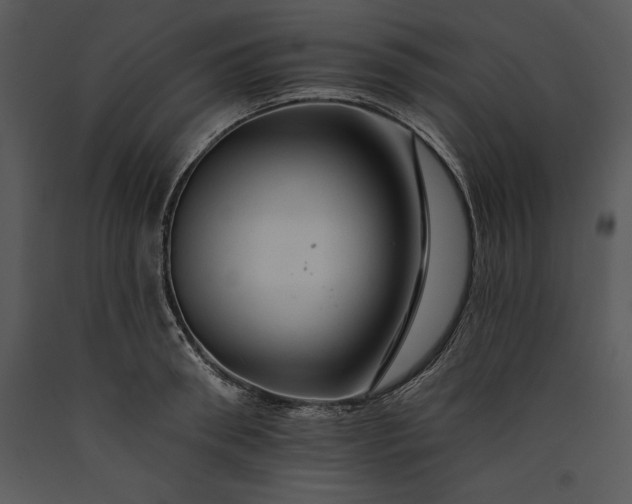 X0000089660898200707191646