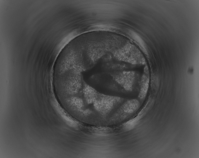 X0000089660899200707191646