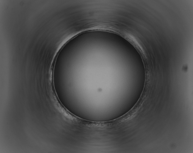 X0000089660900200707191646