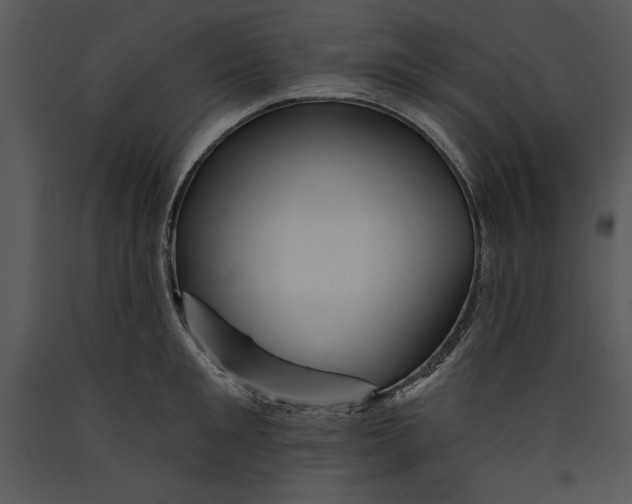 X0000089660901200707191646