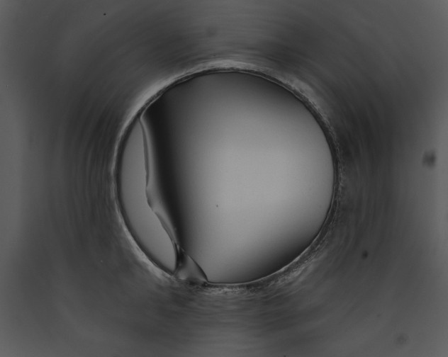 X0000089660902200707191646