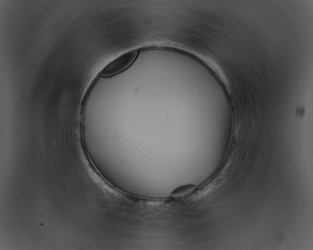 X0000089660903200707191646