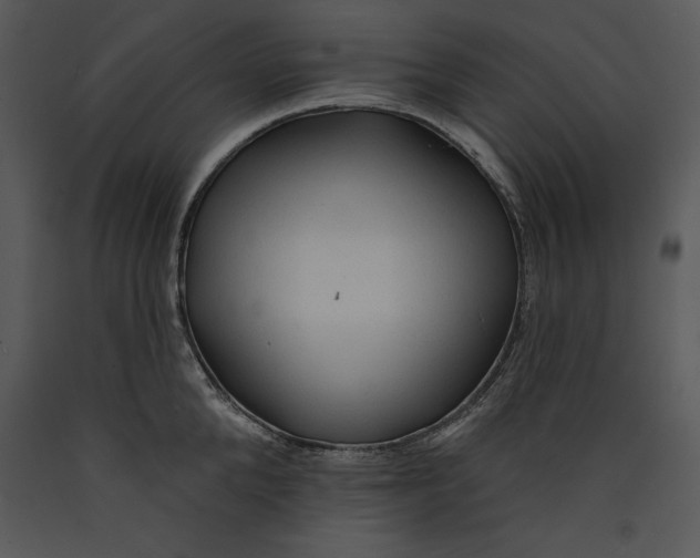 X0000089660904200707191646