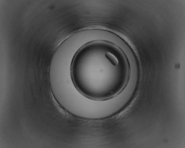 X0000089660905200707191646