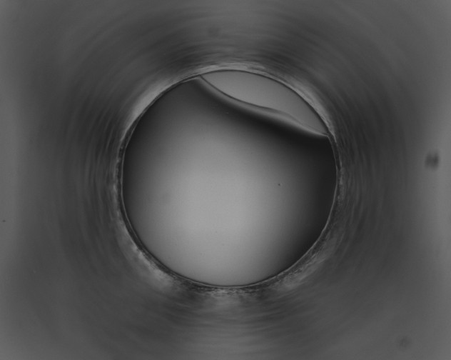 X0000089660906200707191646