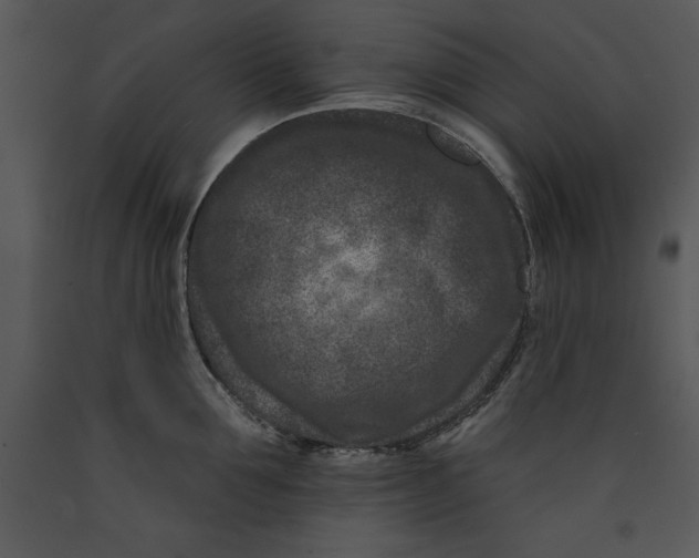 X0000089660907200707191646
