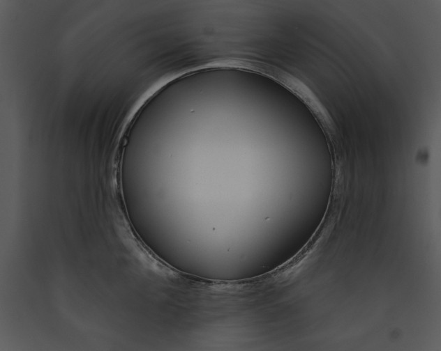X0000089660908200707191645