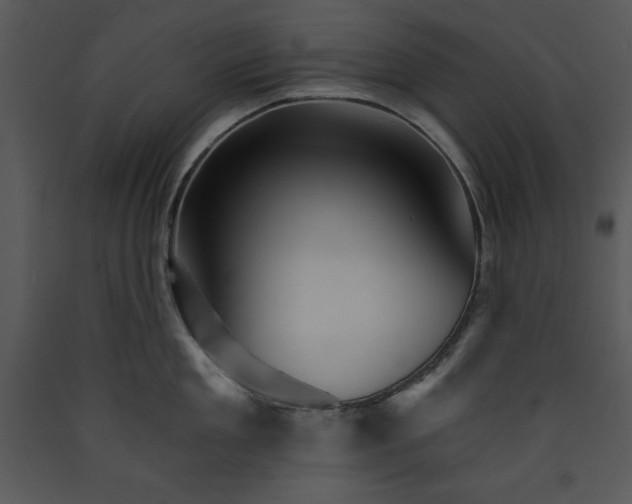 X0000089660909200707191645
