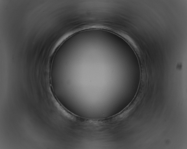 X0000089660910200707191645