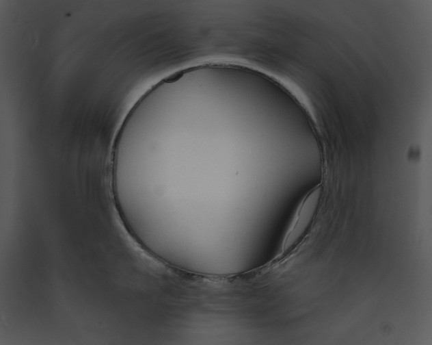 X0000089660911200707191645