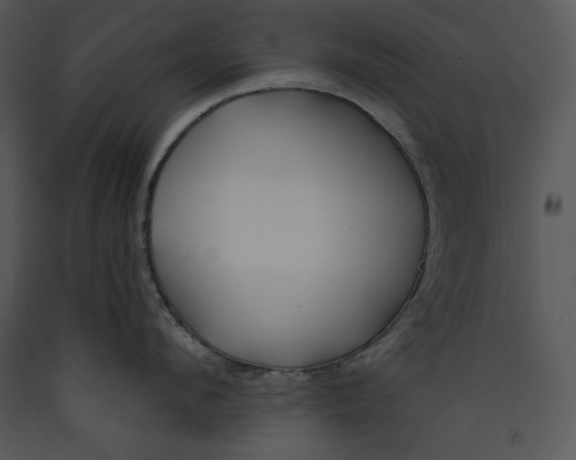 X0000089660912200707191645