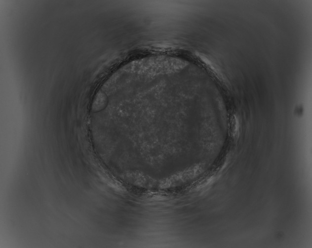 X0000089660913200707191645