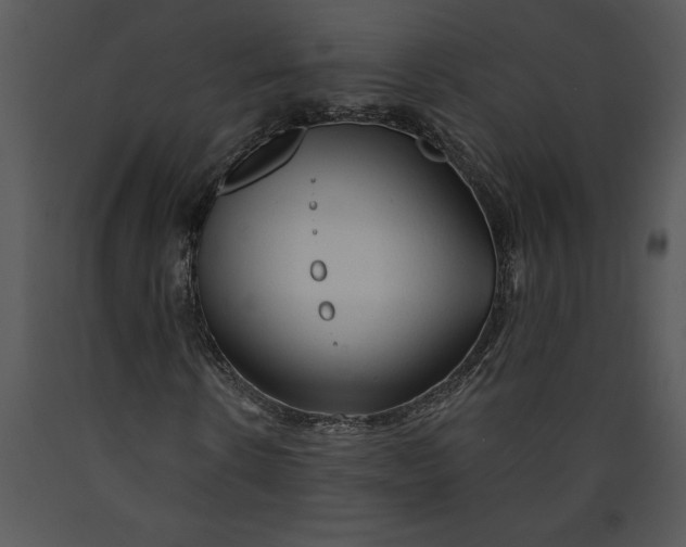 X0000089660914200707191645