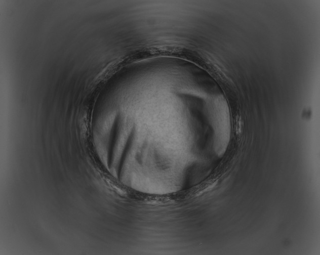 X0000089660915200707191645