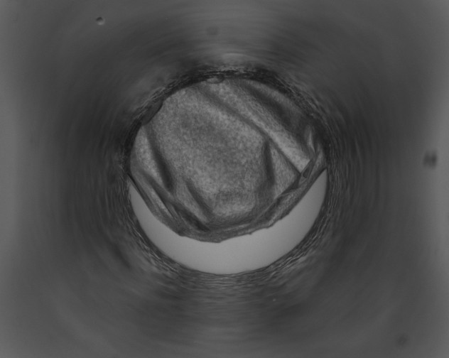 X0000089660916200707191645